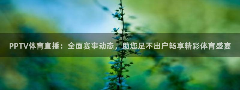 919体育：PPTV体育直播：全面赛事动态，助您足不出户畅享精彩体育盛宴