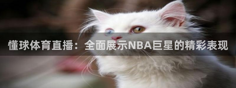 919直播：懂球体育直播：全面展示NBA巨星的精彩表现