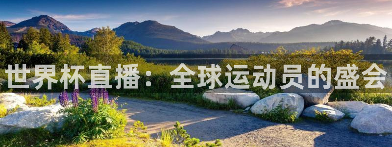 919直播在线看球：世界杯直播：全球运动员的盛会