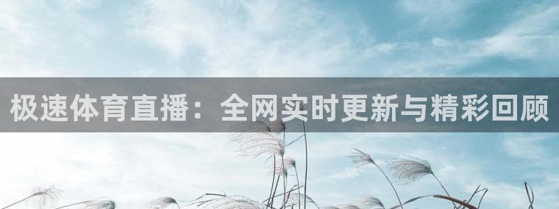 919nba直播：极速体育直播：全网实时更新与精彩回顾