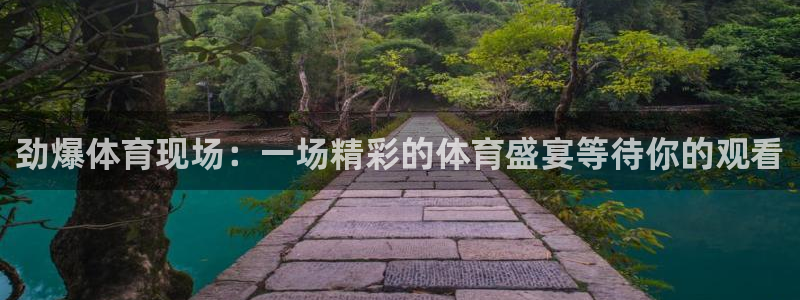 919体育直播间：劲爆体育现场：一场精彩的体育盛宴等待你的观看